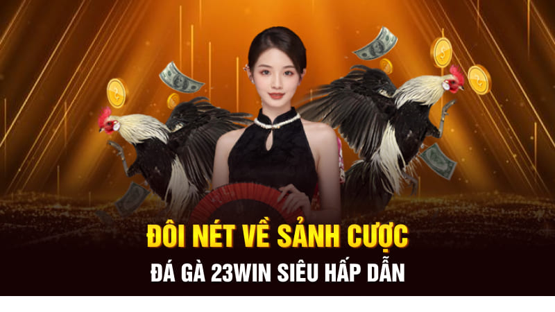 Đôi nét về sảnh cược đá gà 23Win siêu hấp dẫn