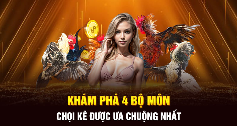 Khám phá 4 bộ môn chọi kê được ưa chuộng nhất