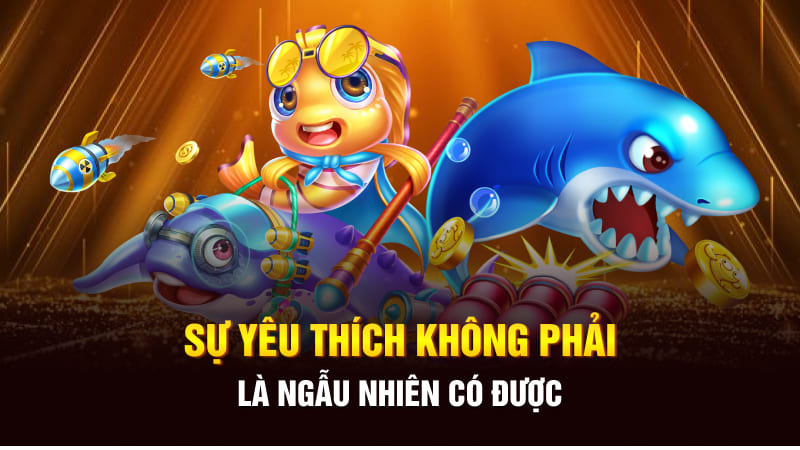 Sự yêu thích không phải là ngẫu nhiên có được