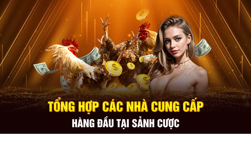 Tổng hợp các nhà cung cấp hàng đầu tại sảnh cược