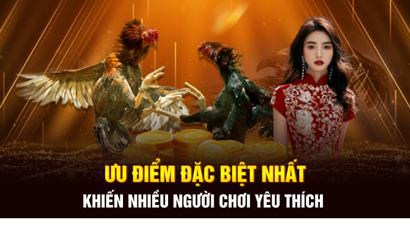 Ưu điểm đặc biệt nhất khiến nhiều người chơi yêu thích